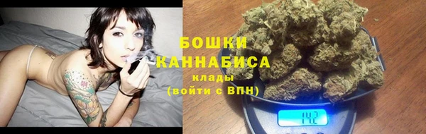 амф Пестово