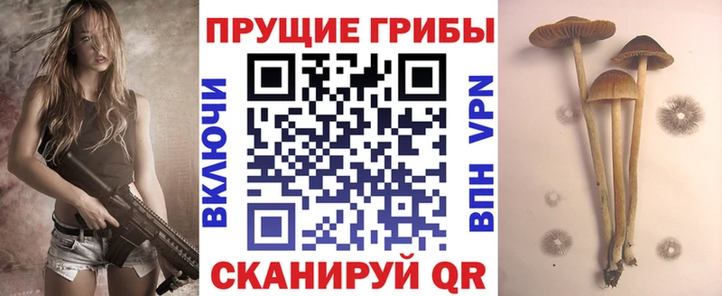 купить наркоту  Спас-Деменск  Псилоцибиновые грибы MAGIC MUSHROOMS 